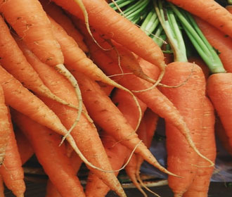 carrotts