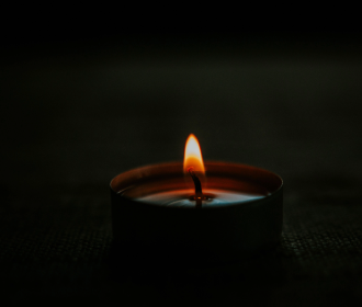 biweekly light halloween